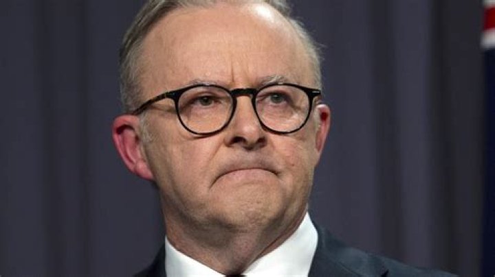 Calls for Anthony Albanese to resign after Voice referendum failure