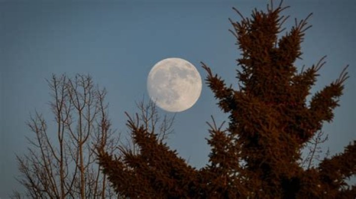 Here’s How December’s Full Cold Moon Affects Your Zodiac Sign