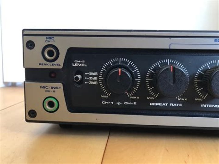 【希少】Roland アナログエコー DC-20 2022年秋冬新作 www.mynewsgh.com